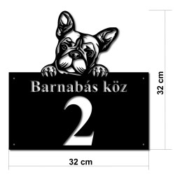 Francia bulldog p02